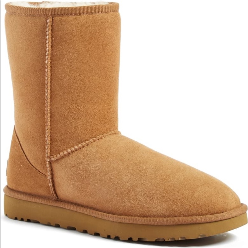 Chestnut short Ugg boots